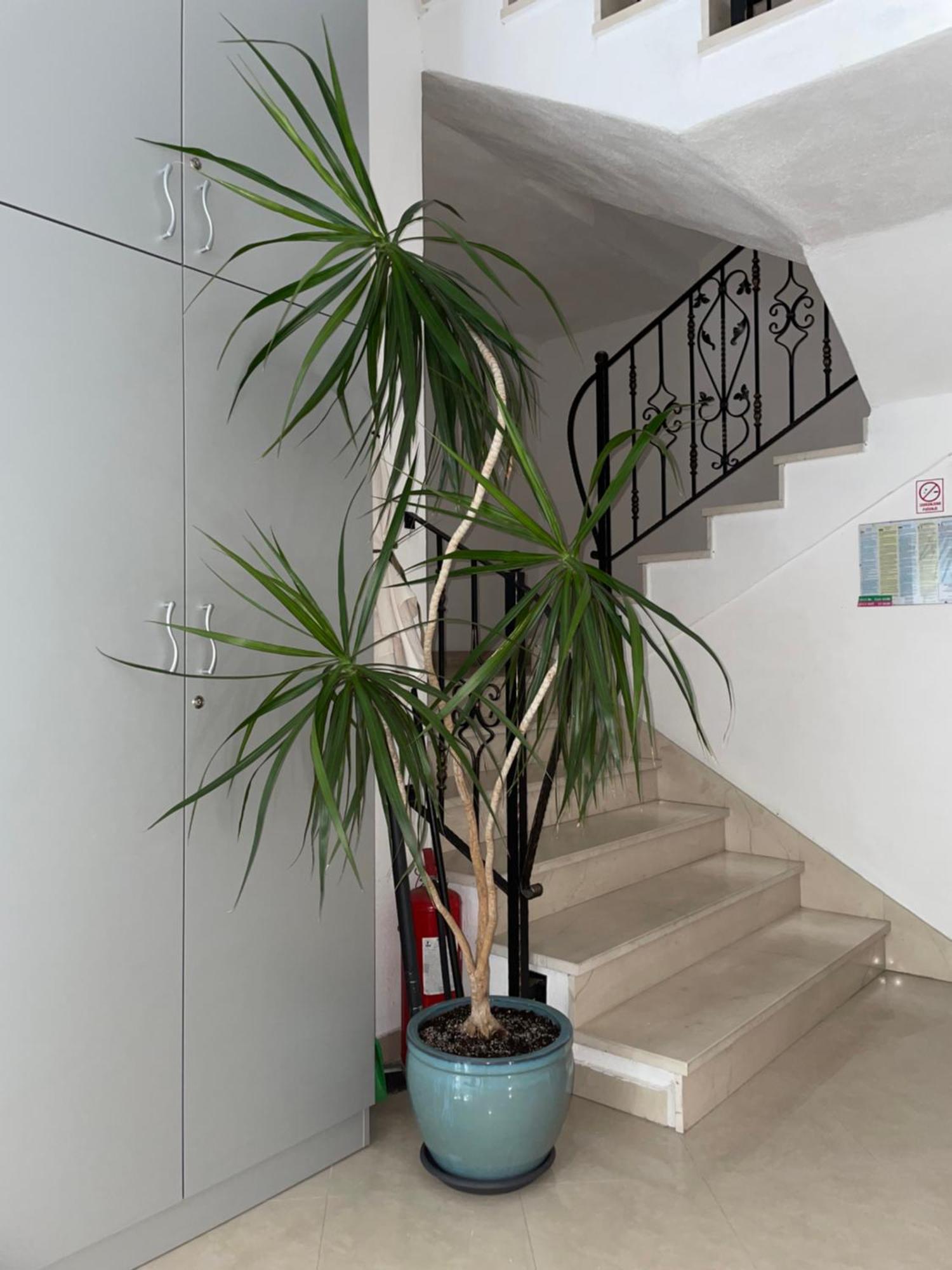 Apartments Villa More Leilighet Makarska